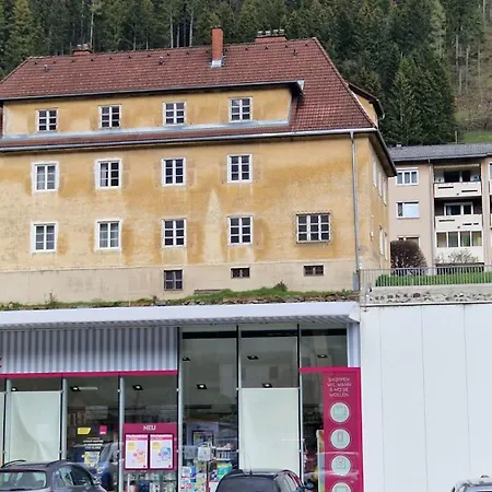 Eisenerzer Apartments - Radmeisterhaus Exteriér fotografie