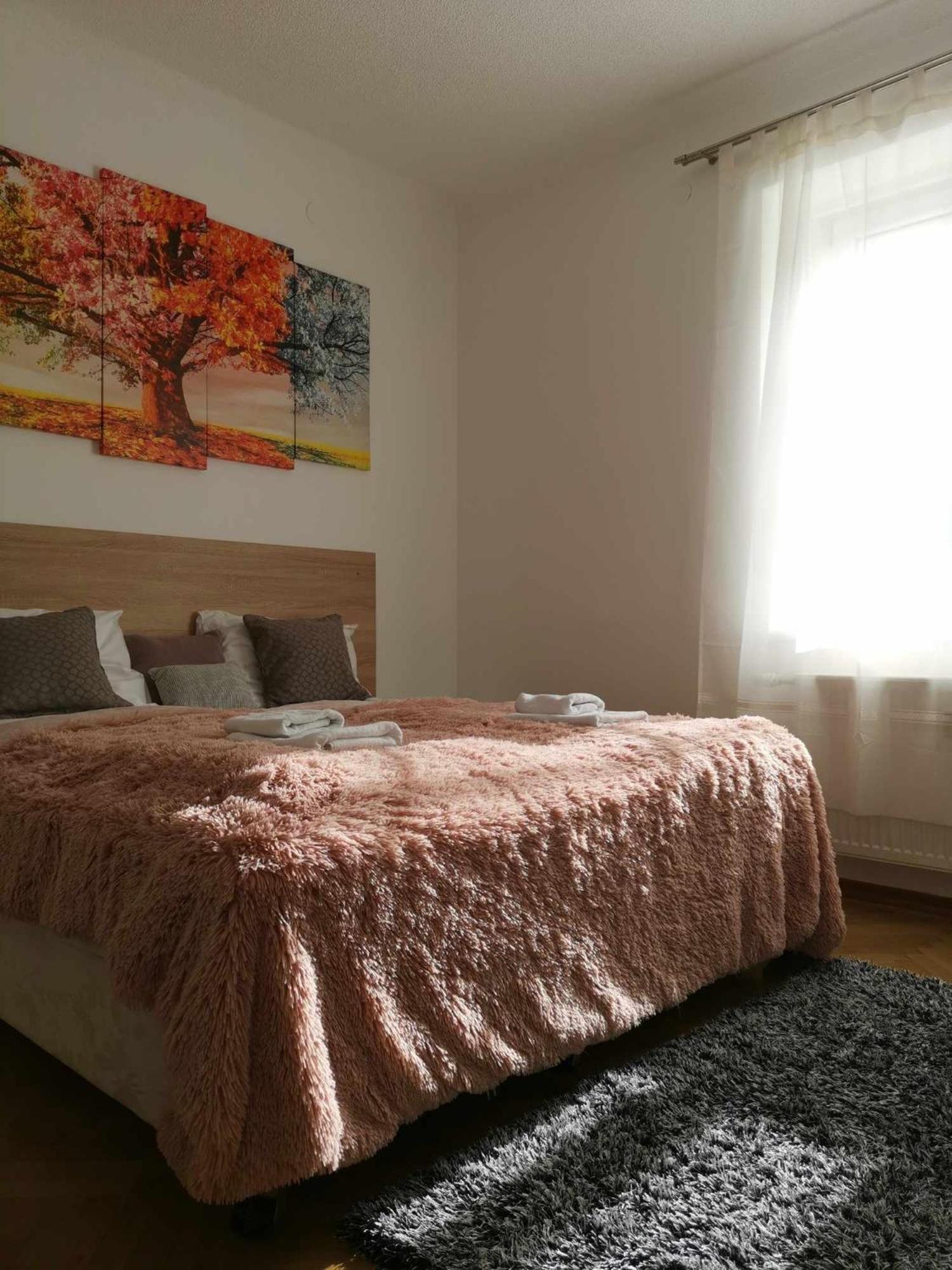 Eisenerzer - Radmeisterhaus Apartmán